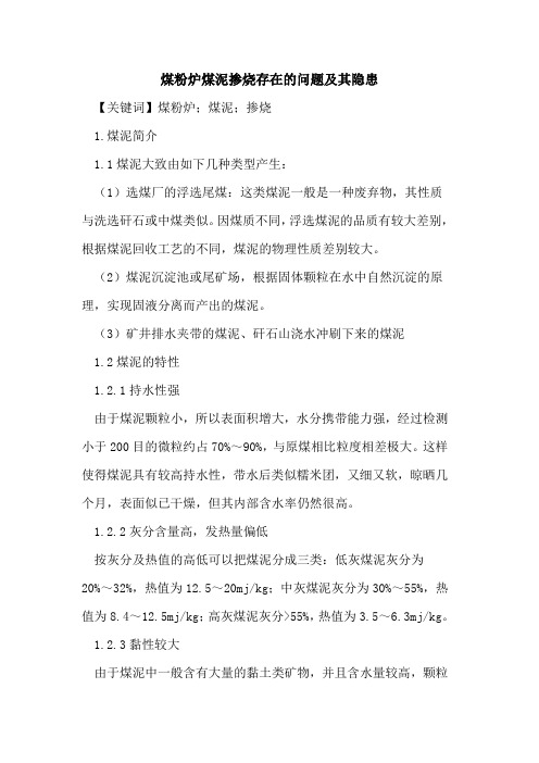 煤粉炉煤泥掺烧存在的问题及其隐患