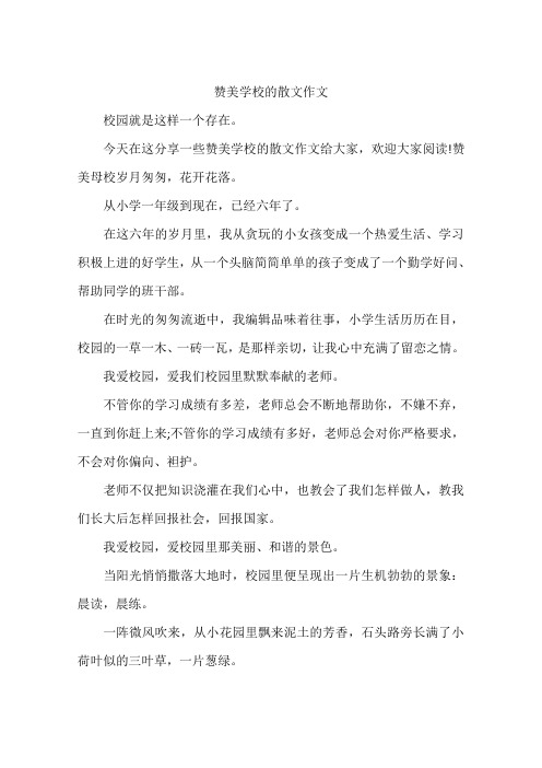 赞美学校的散文作文