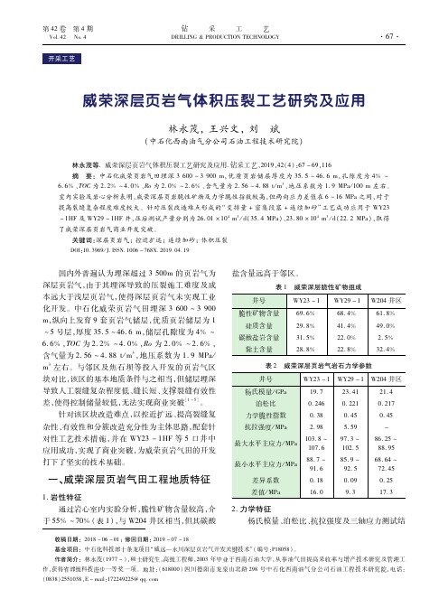威荣深层页岩气体积压裂工艺研究及应用