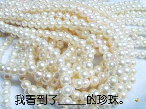 三年级语文课件___三年级上册圆圆的沙粒课件