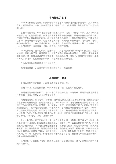 小鸭得救了作文

