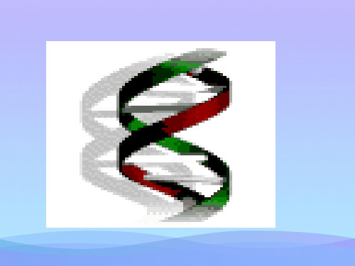 转录和翻译本生物课件