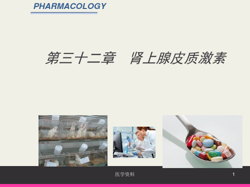 肾上腺皮质激素  ppt课件