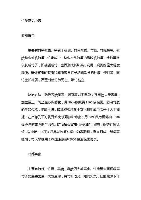 竹类常见虫害