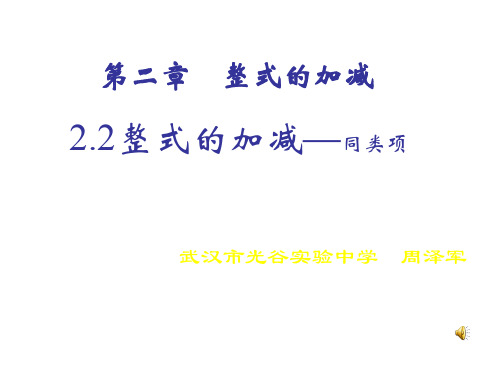 2.2 整式的加减--合并同类项 课件(共15张ppt
