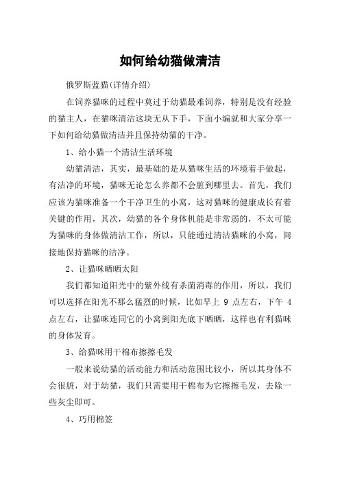 如何给幼猫做清洁