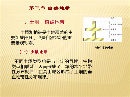 土壤-植被地带