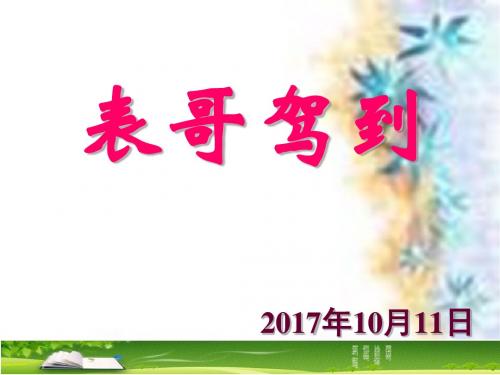 《表哥驾到》ppt课件(10页)