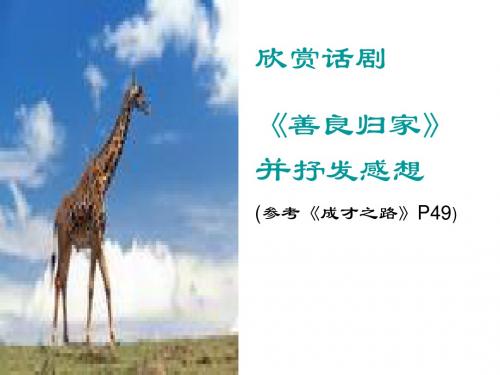 高中语文善良(正式)