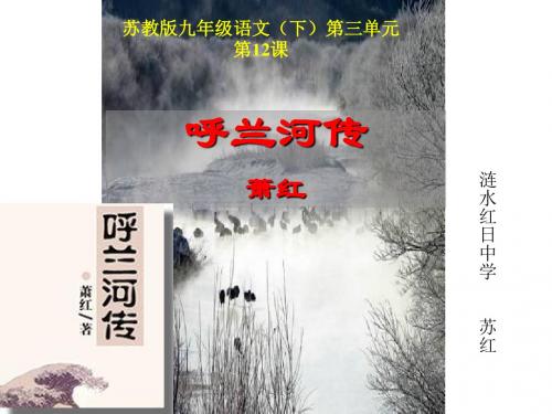 苏教版语文九年级下册精品课件《呼兰河传》