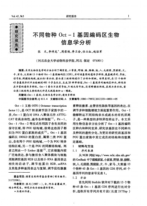 不同物种Oct-1基因编码区生物信息学分析