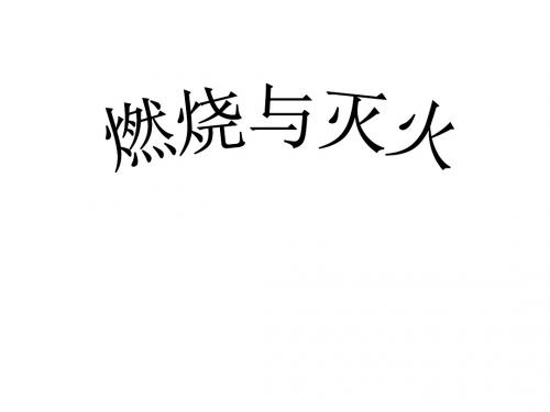 燃烧发生的条件探究实验 共26页