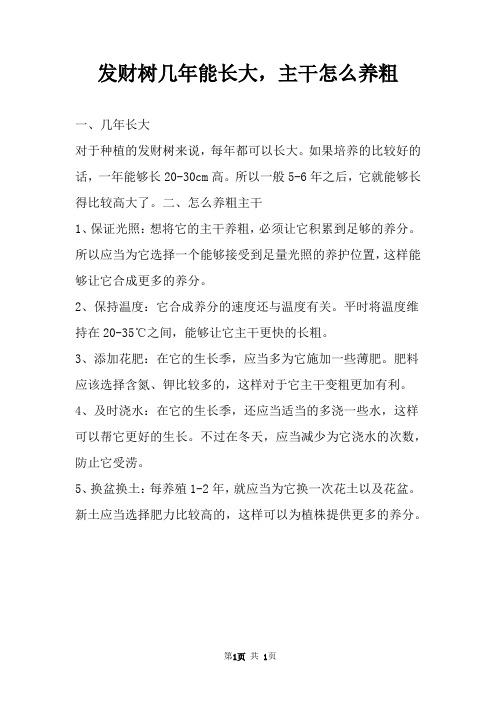 发财树几年能长大,主干怎么养粗 