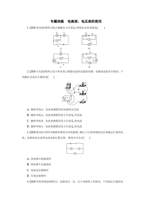 专题训练  电流表、电压表的使用