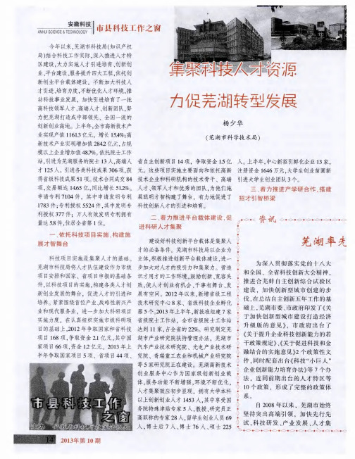 集聚科技人才资源力促芜湖转型发展