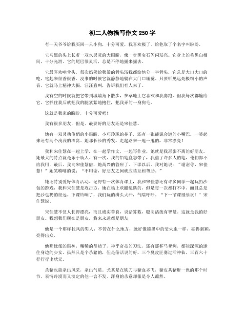 初二人物描写作文250字