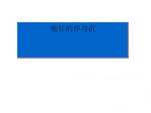 物体的浮与沉 PPT课件8 苏科版