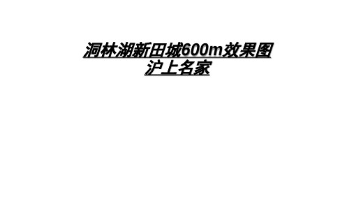 洞林湖新田城600m效果图精品PPT课件