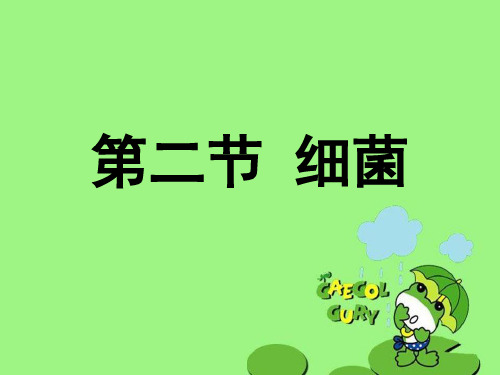 细菌PPT课件17 人教版