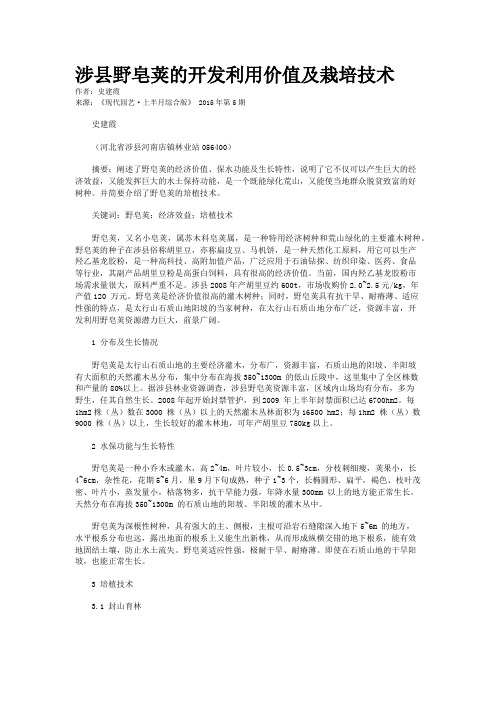 涉县野皂荚的开发利用价值及栽培技术