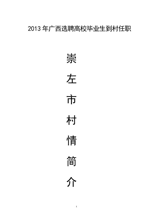 2013年广西选聘高校毕业生到村任职