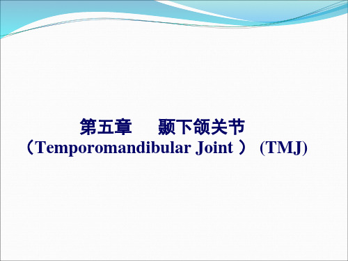 医学教学课件：颞下颌关节