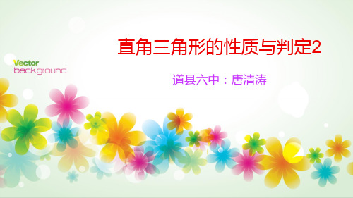 直角三角形的性质与判定2