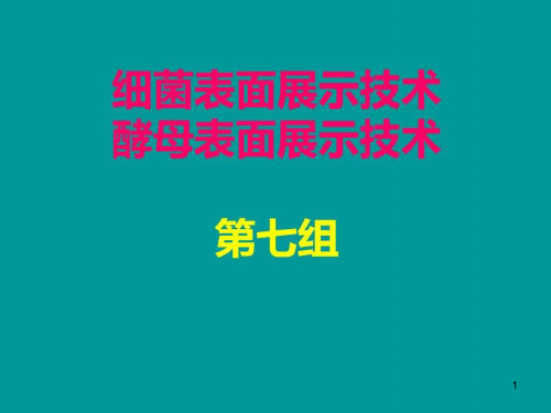 细菌与酵母表面展示技术课件