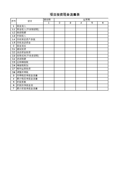 项目投资现金流量表