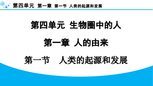 最新初一生物上册 1-1人类的起源和发展 专题训练 课件