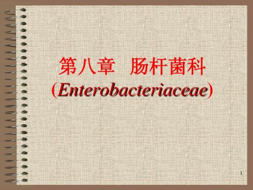 2013执业兽医资格考试微生物学 肠杆菌科