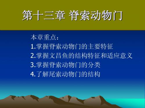 第十三章脊索动物第十四章圆口纲