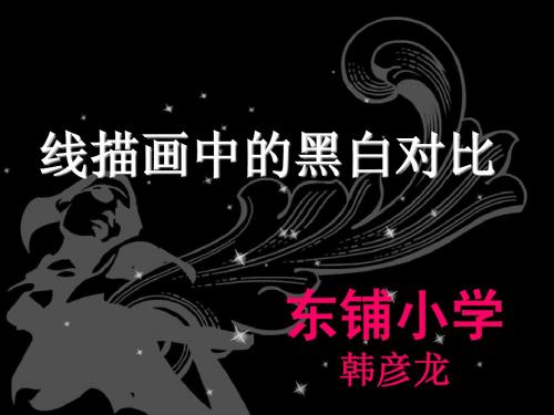 线描画中的黑白对比课件(PPT_12页)