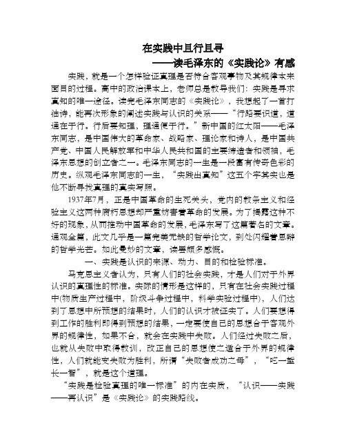 毛概作业(在实践中且行且寻)
