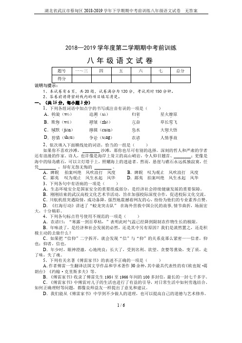 湖北省武汉市蔡甸区2018-2019学年下学期期中考前训练八年级语文试卷  无答案