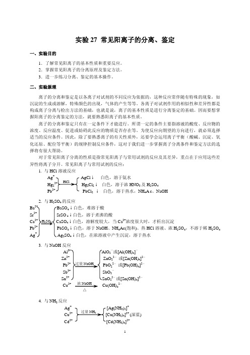 常见阳离子的分离、鉴定