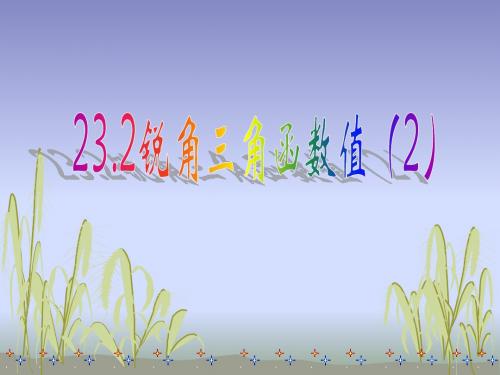 23.2锐角三角函数值(2)