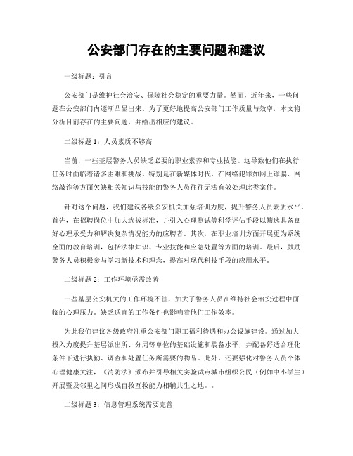 公安部门存在的主要问题和建议