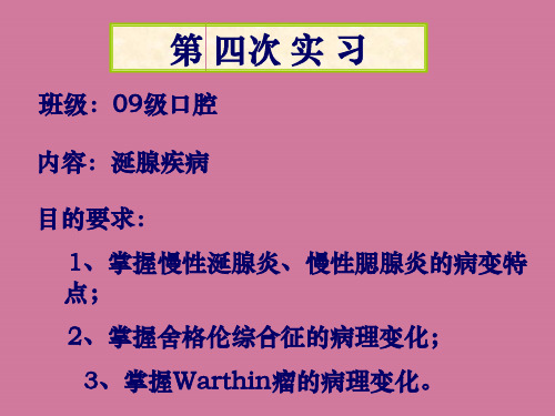 口腔实习涎腺ppt课件