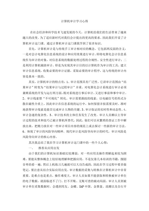 计算机审计学习心得