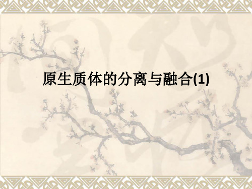 原生质体的分离与融合(1)ppt课件