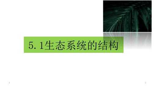 人教版生物必修三第5章第1节 生态系统的结构(19张ppt)