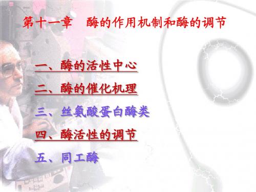 第十一章酶的催化机理和活性调节