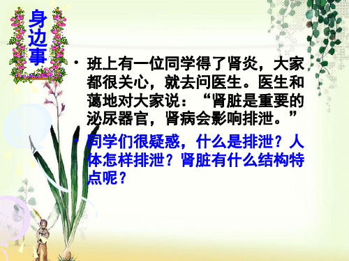 【一线精品】  排泄1   最新优秀公开PPT课件