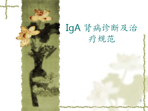IgA肾病诊断及治疗ppt课件