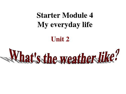 外研版英语七年级上册-Starter-Module-4精品PPT课件