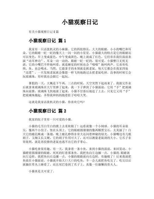 小猫观察日记