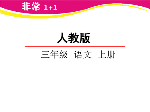 5《铺满金色巴掌的水泥道》-完整版PPT课件