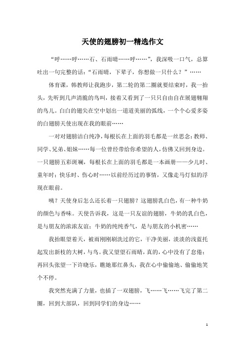 天使的翅膀初一精选作文