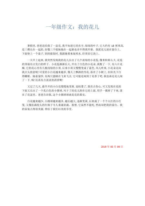 小学作文 一年级作文：我的花儿-精品